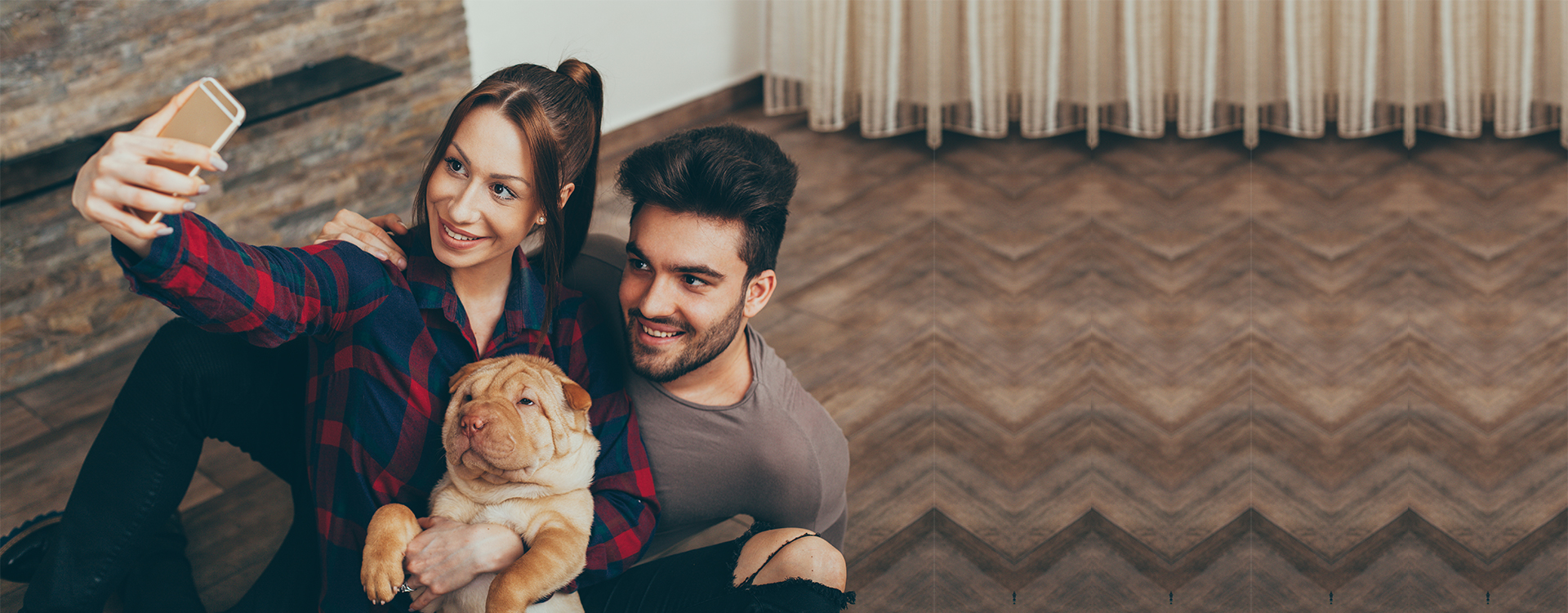 puppy, for, sale, puppies, forsale, locate, breeder, pups, dog, dogs, adoption, nearme, breed, breeds, kennel, puppy-for-sale, healthy, cute, aca, ica, american, canine, association, international, pictures, banner-2